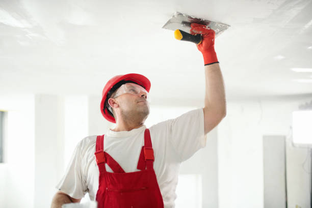 Best Drywall Patching  in Cushing, OK